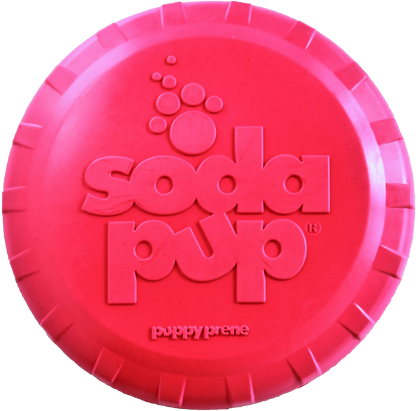 Puppy Bottle Cap Flyer (Pink) | SodaPup