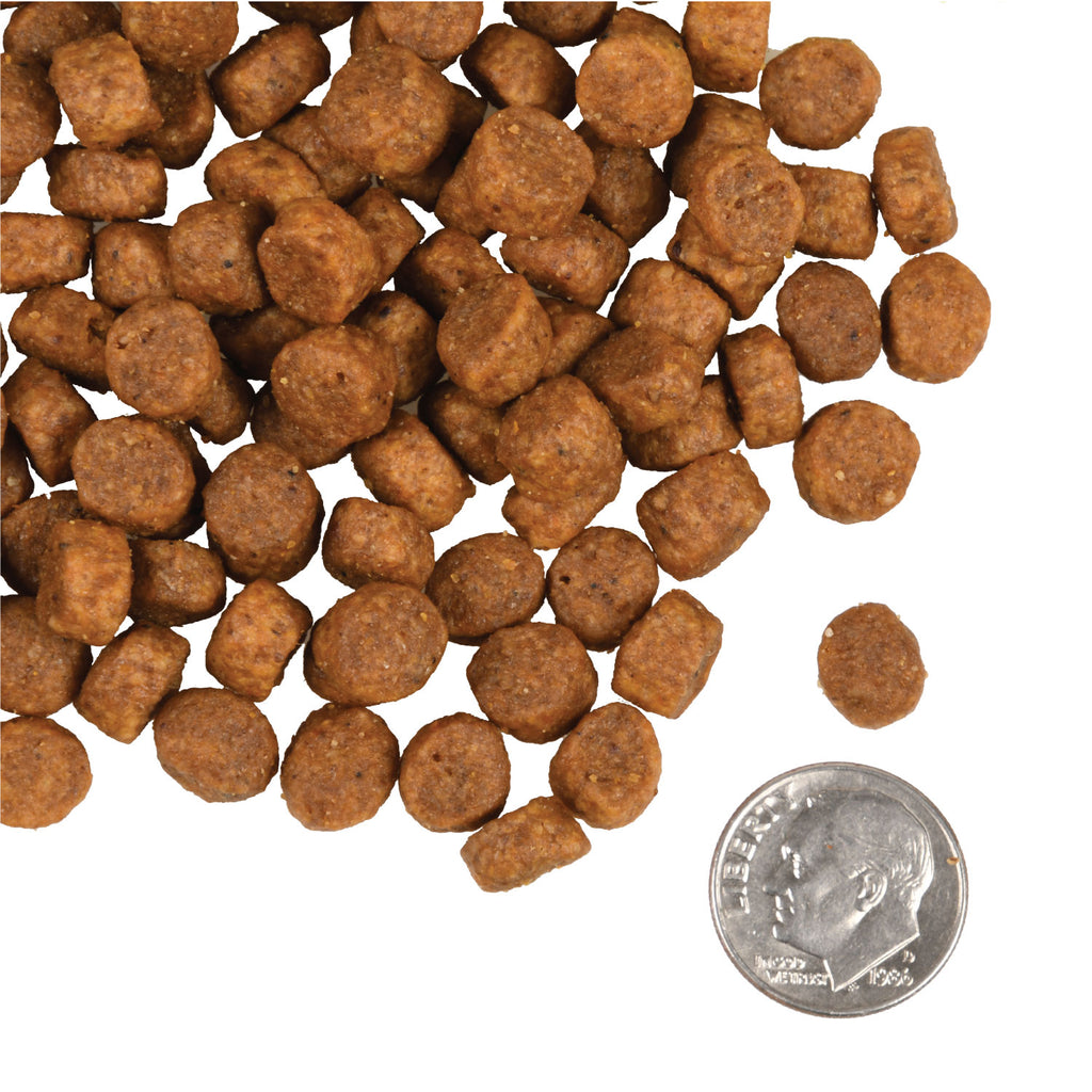 Heartland Gold Puppy Food (Red Meat, 4lb) | Fromm