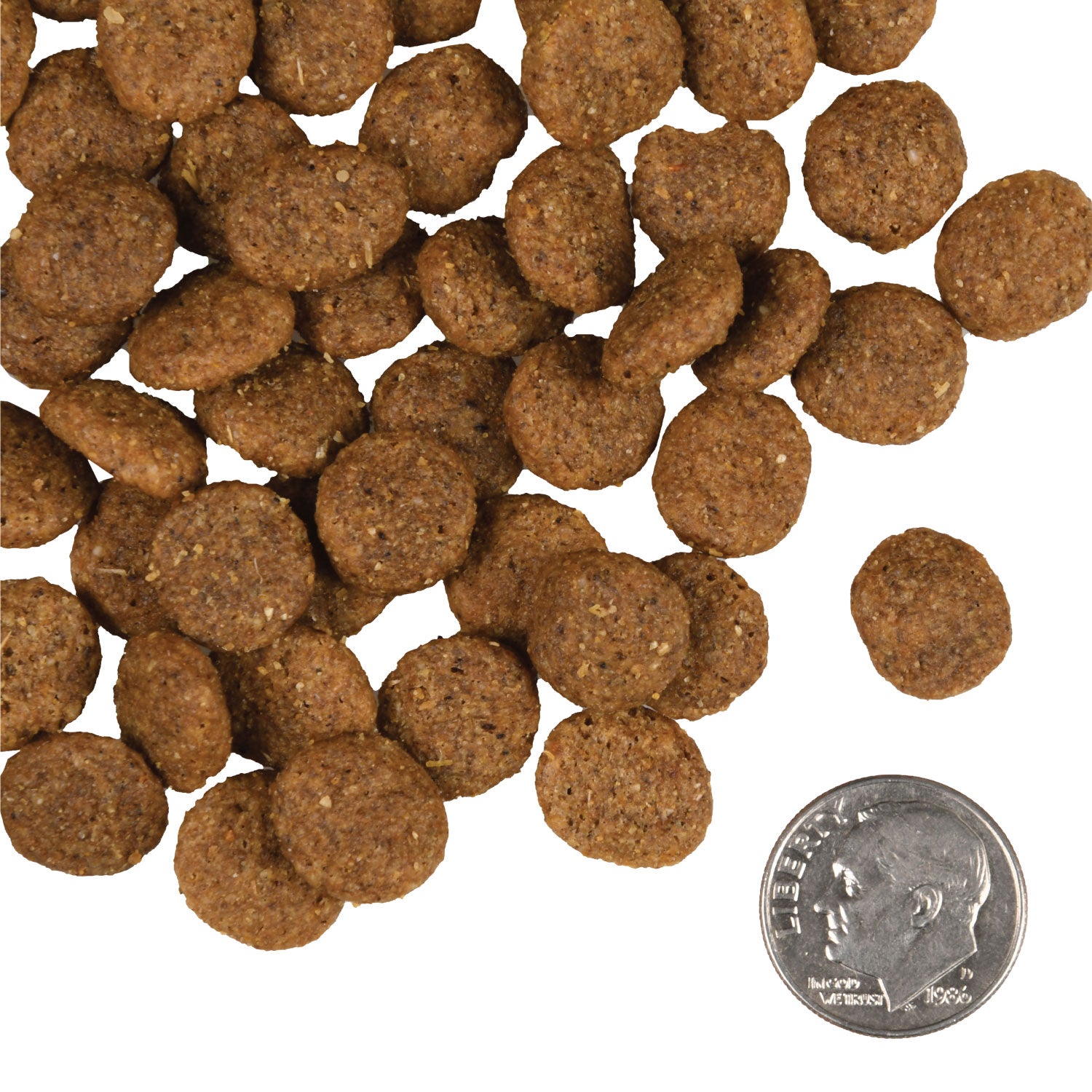 Gold Reduced Activity & Senior Dog Food (5lb) | Fromm
