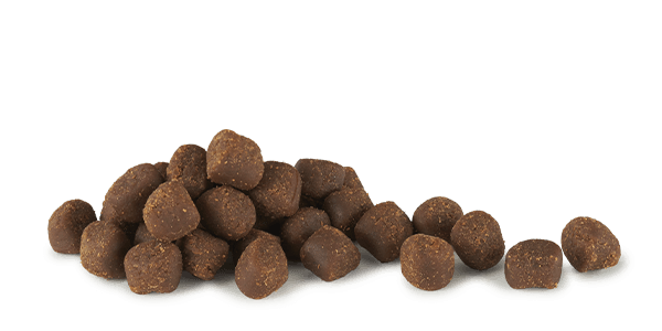 Soft & Chewy Tricky Trainers Puppy Treats (Lamb, 5oz) | Cloud Star