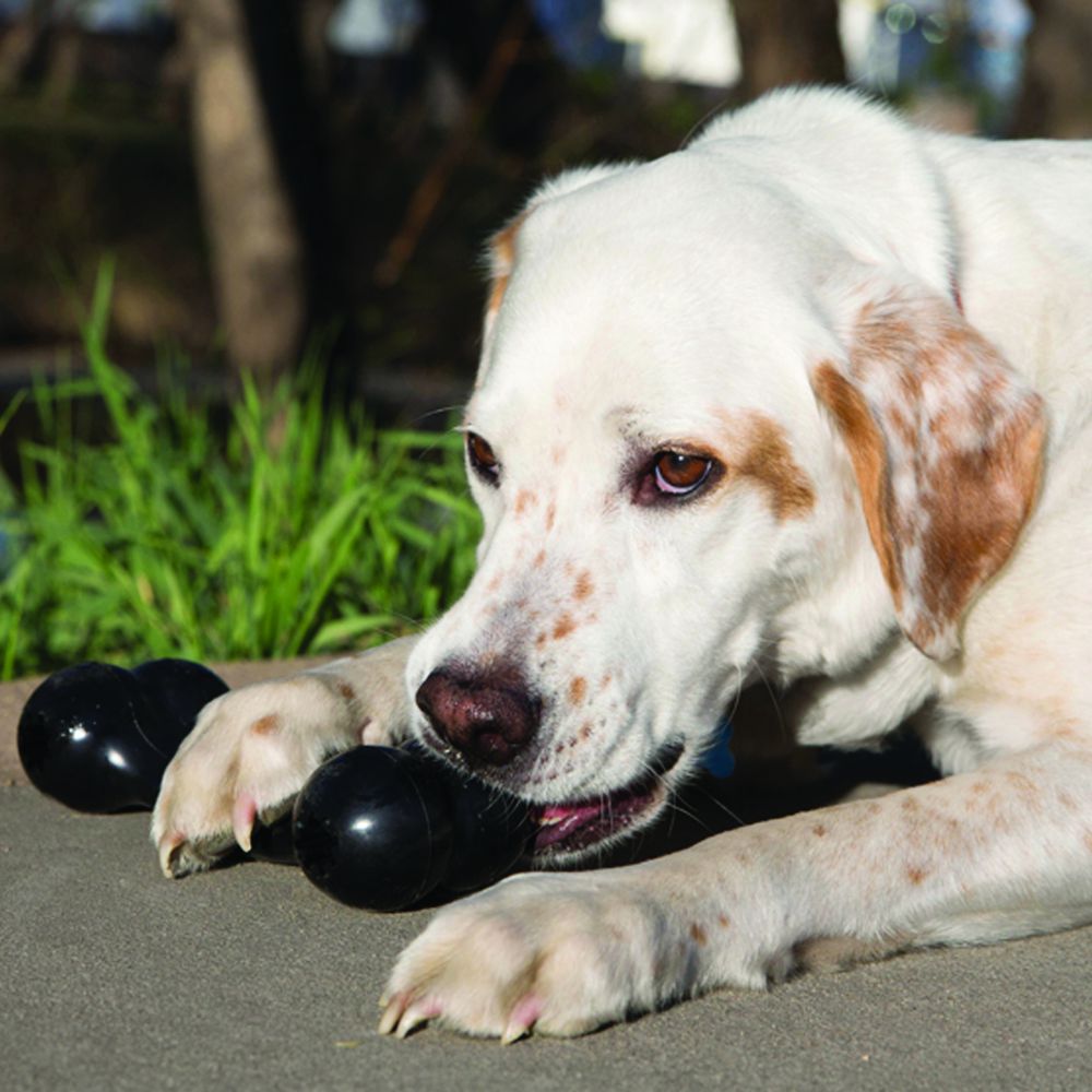 Extreme Goodie Bone (Large) | KONG