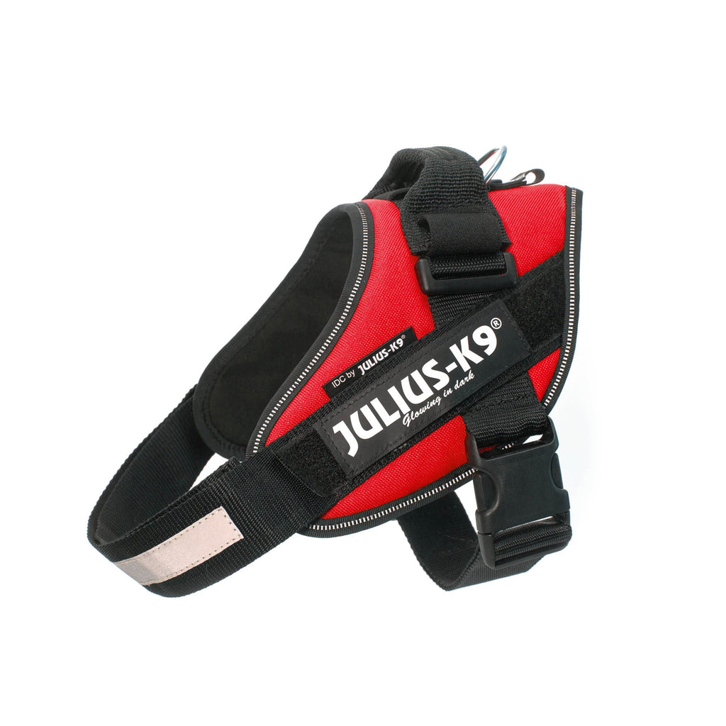 Power Harness (Red) | Julius K9