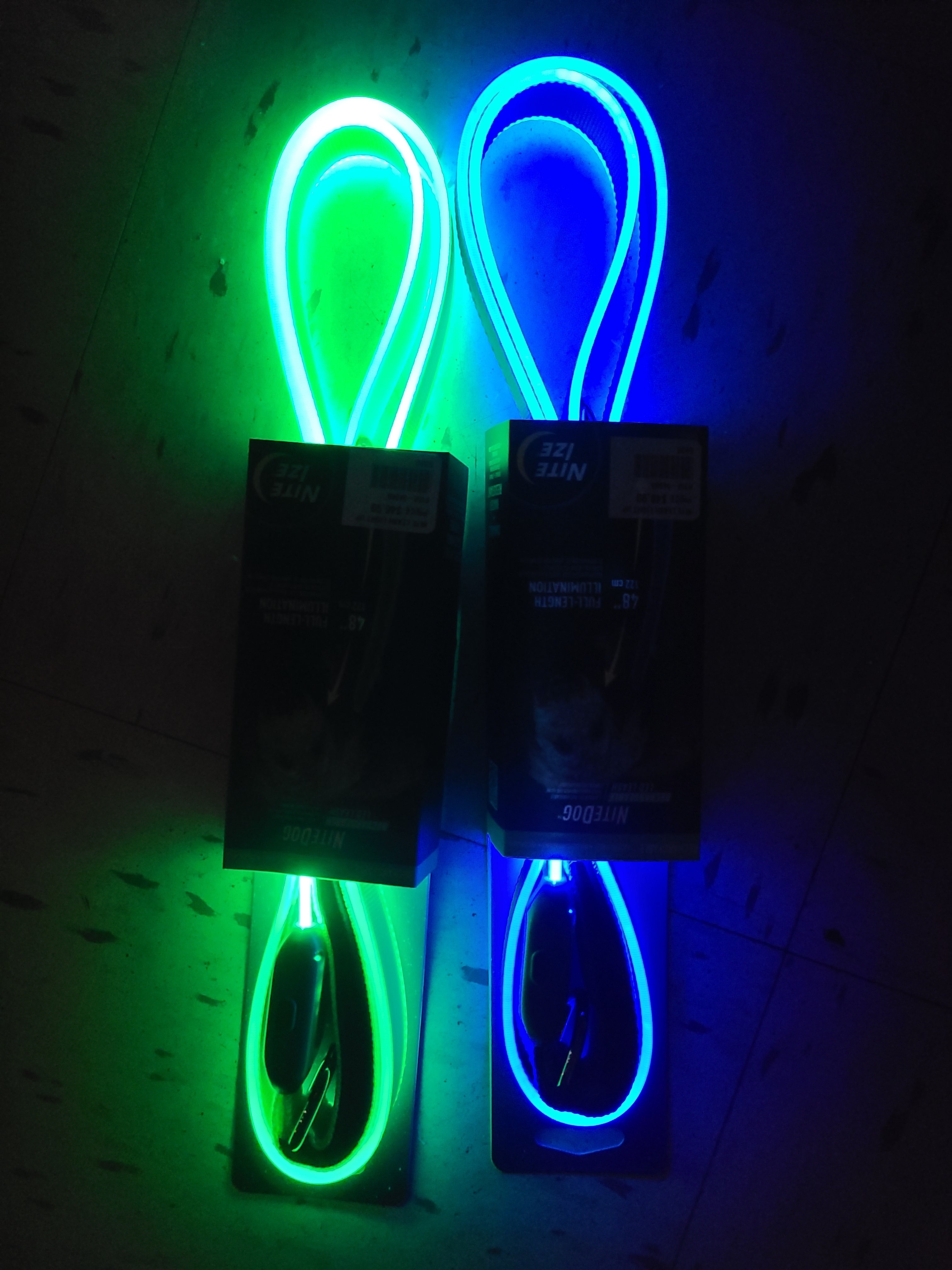 Rechargeable LED Light Up Leash (Blue) | Nite Ize