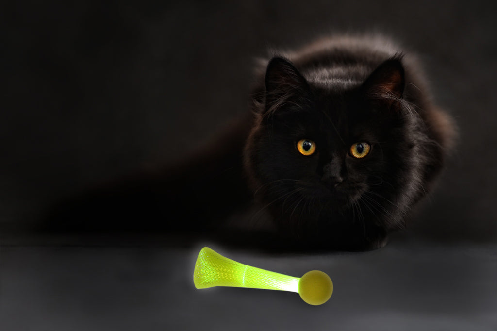 Kitty Fun Bopper (Assorted Colours) | Spot