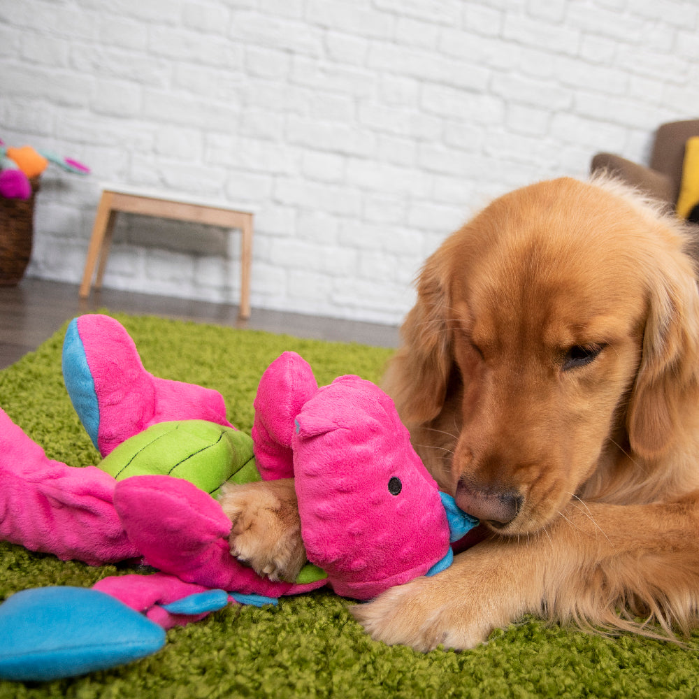 Baby Dragon Dog Toy (Large, Pink) | goDog