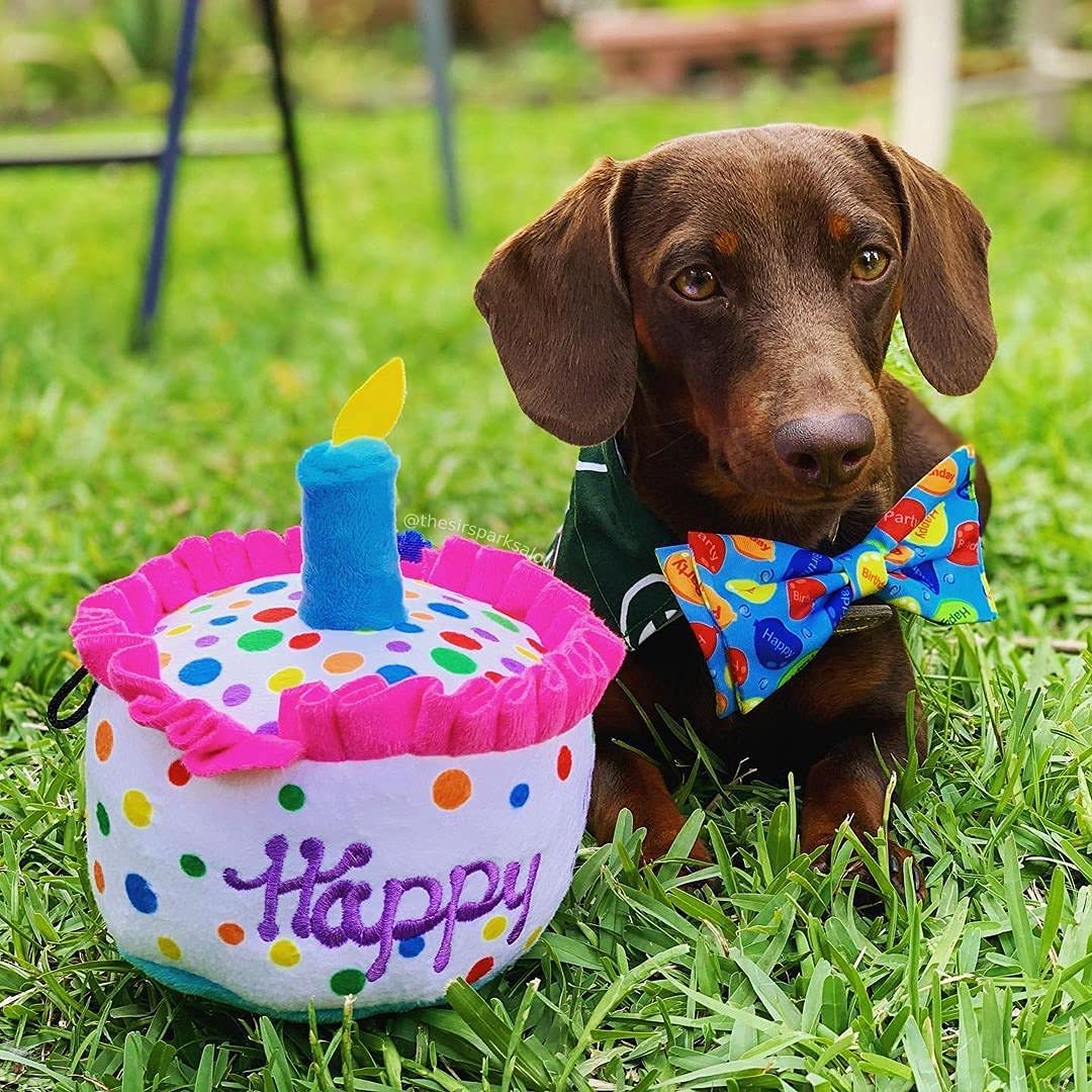 Bow Tie Accessory | Huxley & Kent