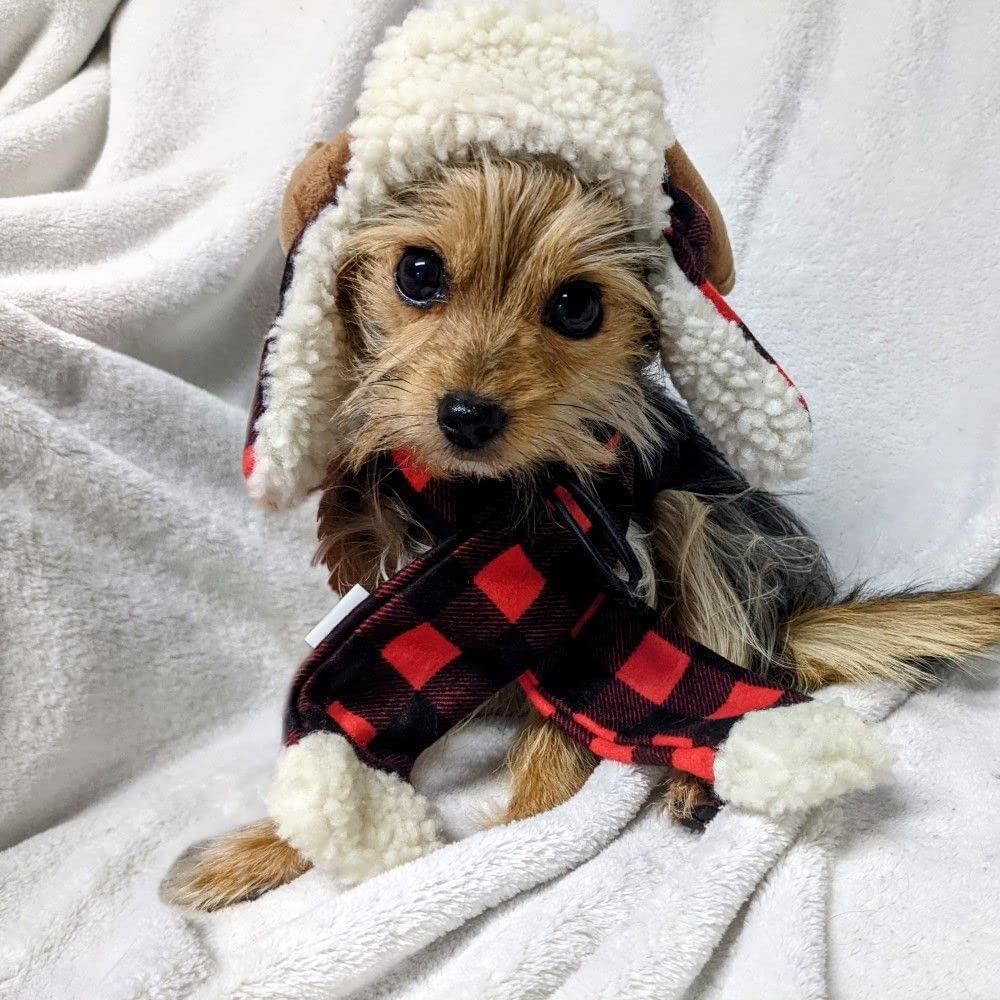 Buffalo Plaid Scarf | Huxley & Kent