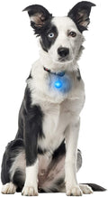 Spot Lit LED Collar Light | Nite Ize