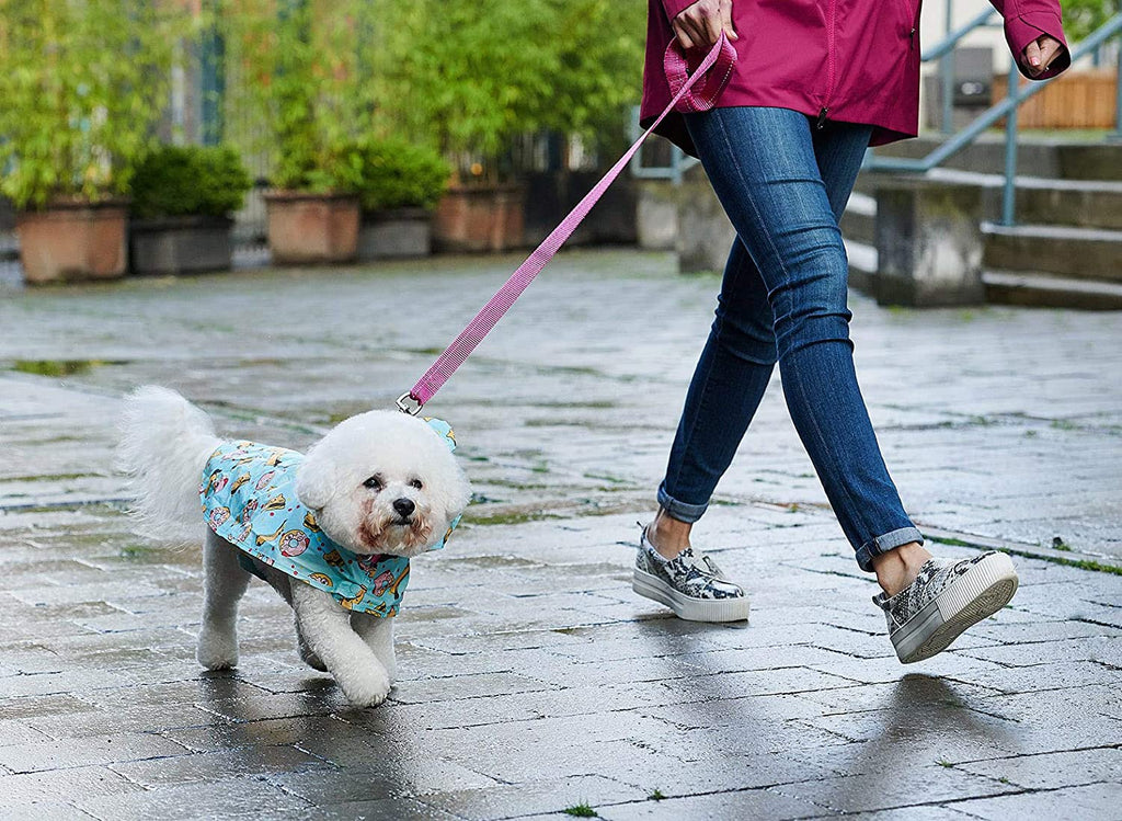 Packable Poncho (Cheat Day) | RC Pets