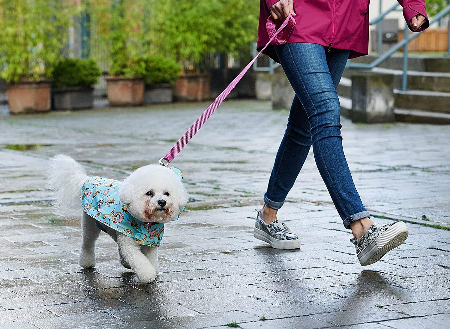 Packable Poncho (Cheat Day) | RC Pets