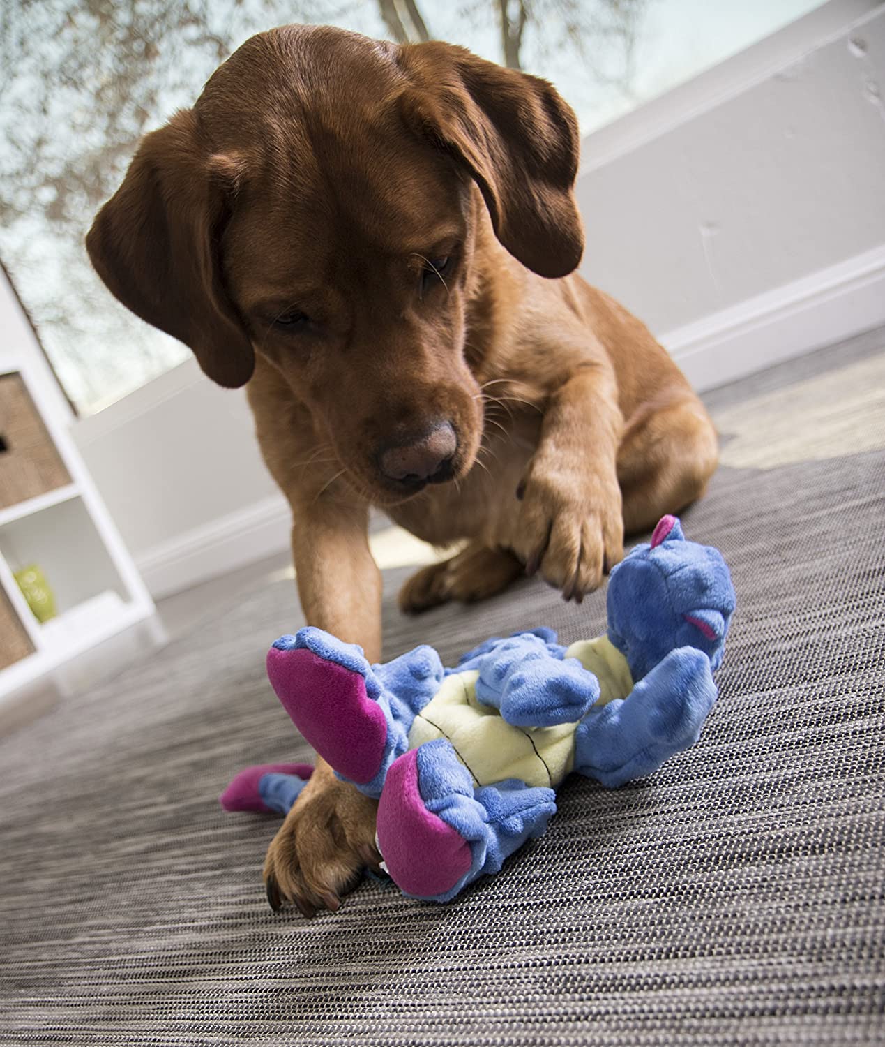 Baby Dragon Dog Toy (Large, Periwinkle) | goDog