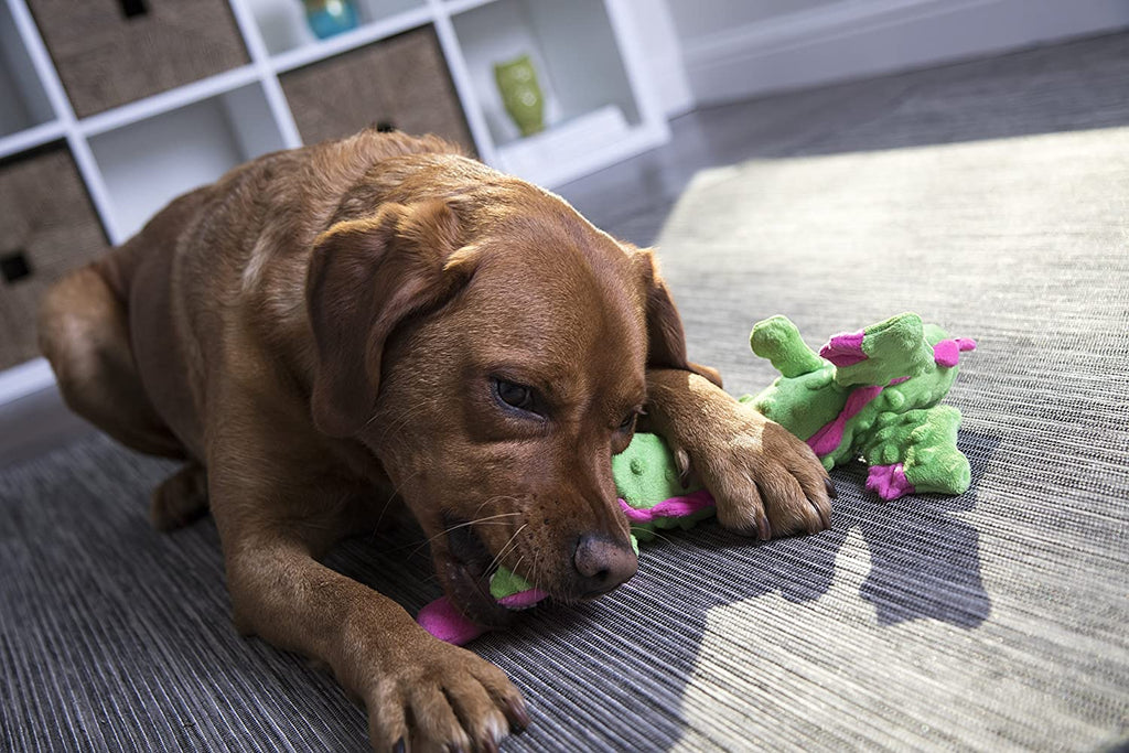 Skinny Dragon (Green) | goDog