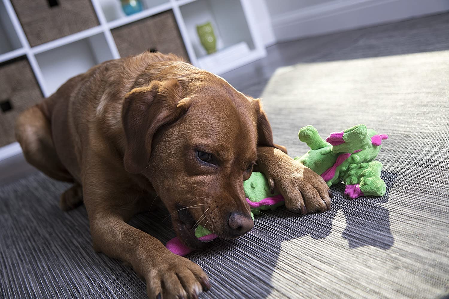 Skinny Dragon (Green) | goDog