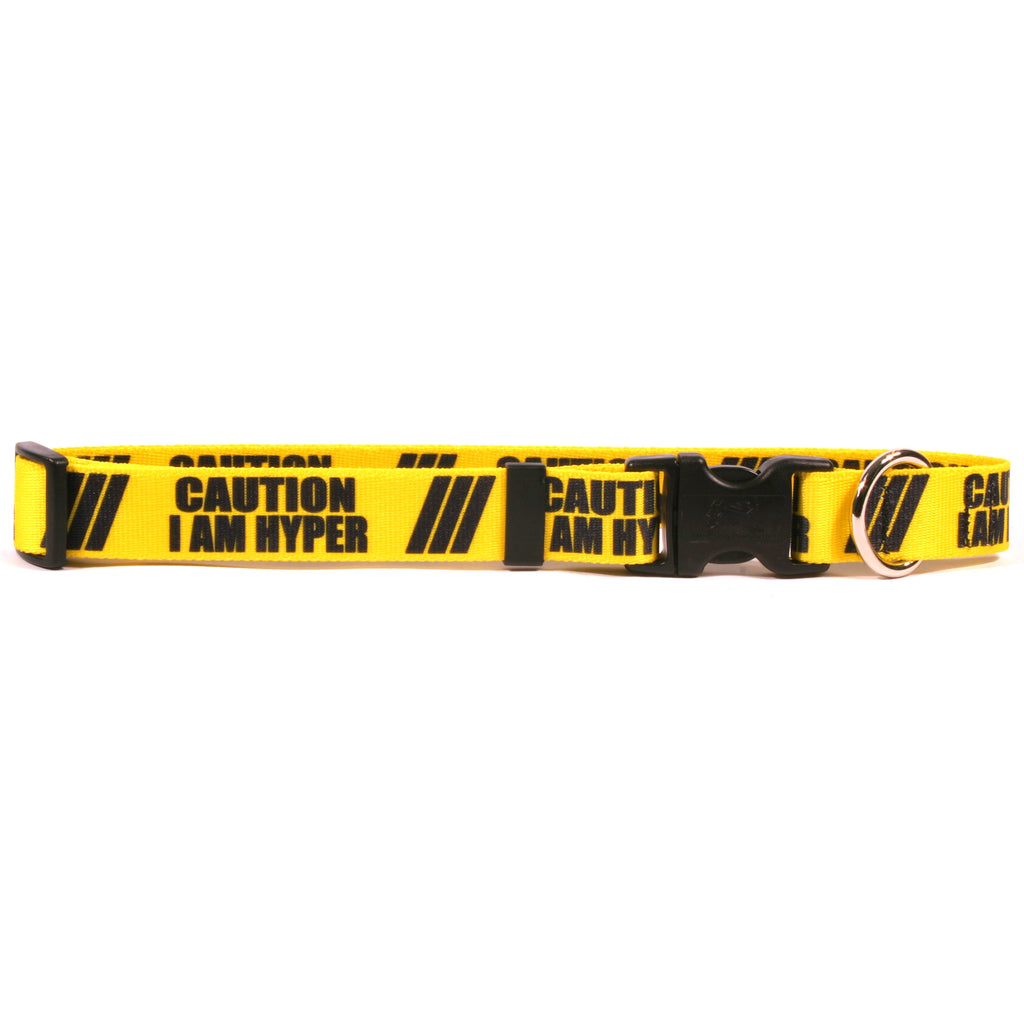 Caution Collars & Leashes | Yellow Dog Designs
