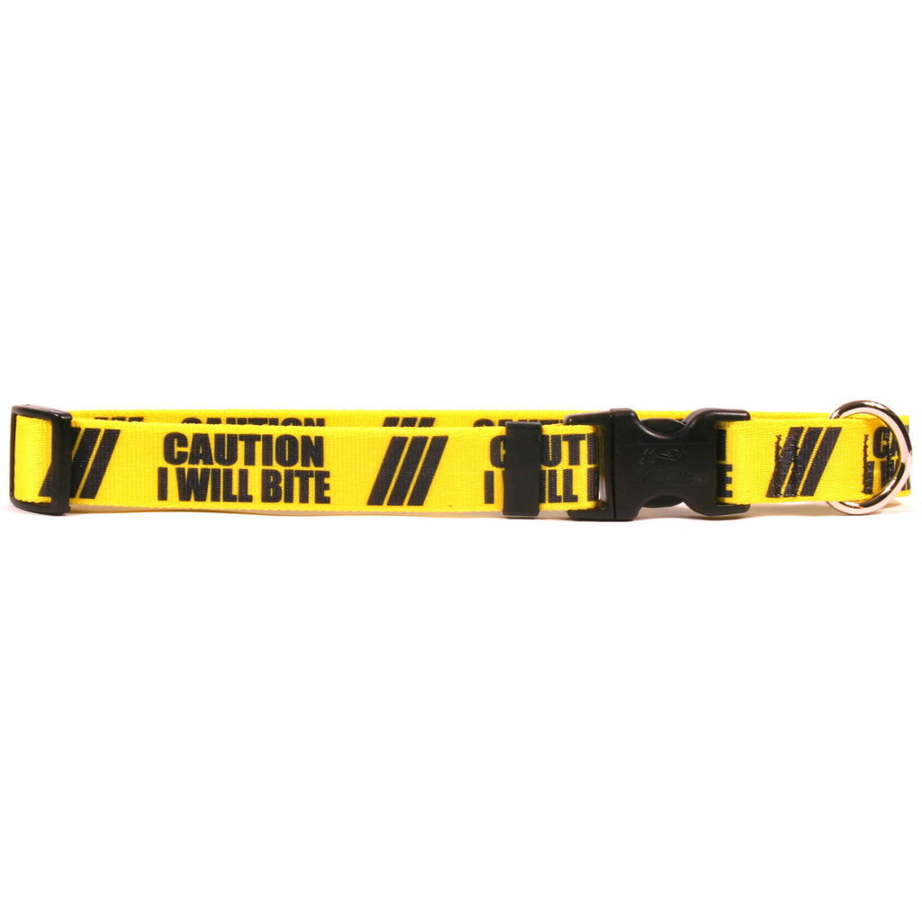 Caution Collars & Leashes | Yellow Dog Designs