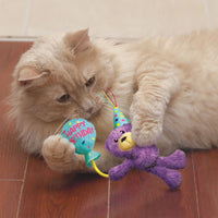 Birthday Teddy Cat Toy | KONG