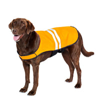 Cooling Safety Vest Orange | Zippy Paws