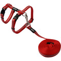 Cat Harness & Leash Combo | Rogz