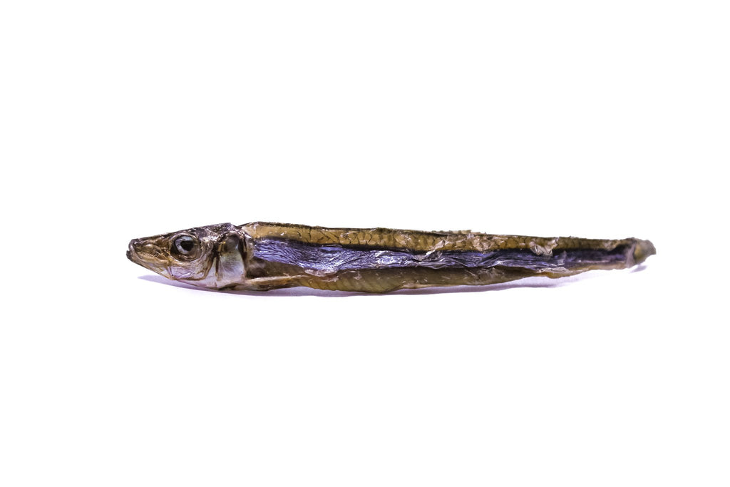 Dried Sardines | Only One Treats
