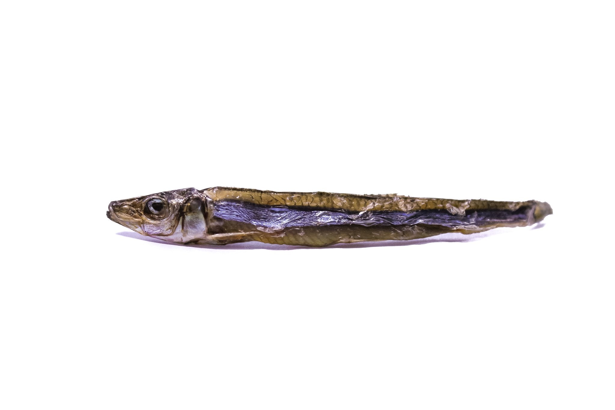 Dried Sardines | Only One Treats