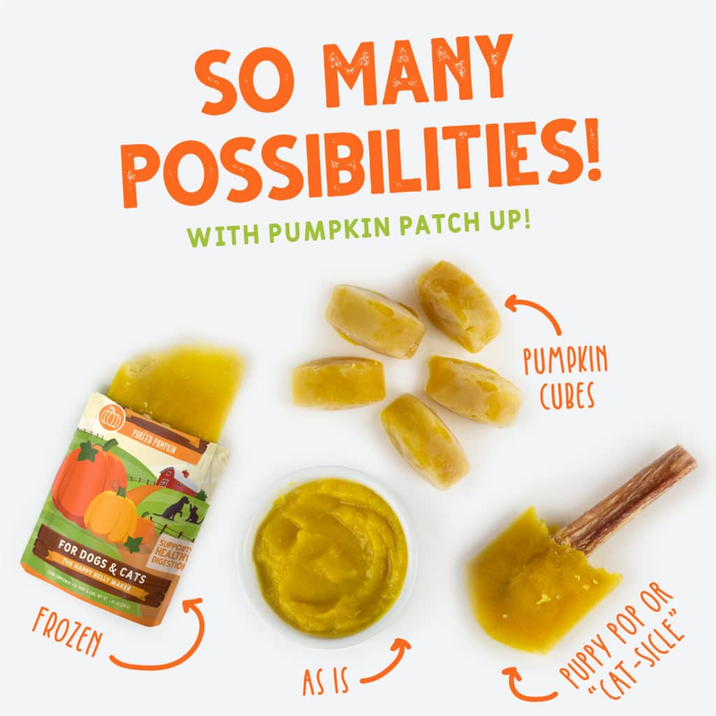 Puréed Pumpkin with Ginger & Turmeric (1.05oz) | Weruva