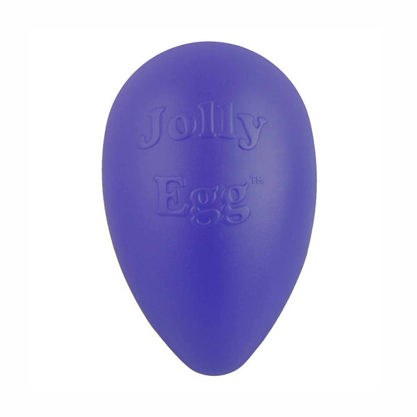 Jolly Egg (Large, Purple) | Jolly Pets
