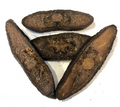 Beaver Tail Slices (Dog Treats) | Kawigga