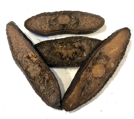 Beaver Tail Slices (Dog Treats) | Kawigga