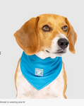 Cooling Bandana (Blue) | Canada Pooch