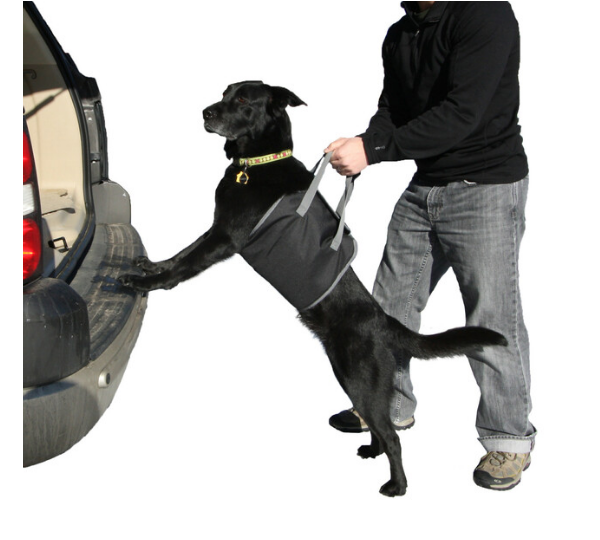 PupBoost Easy-Lift Harness | Outward Hound