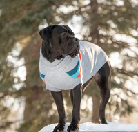 Alpine Dog Sweater | GF Pets