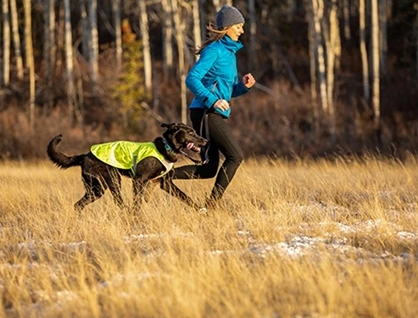 Luna Hi Vis Vest (XSmall 11") | RC Pets