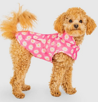 Pick Me Poncho (Daisys) | Canada Pooch