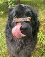 Salmon Skin Strips For Dogs & Cats (85g) | Only One Treats