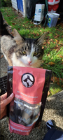 Salmon Skin Strips For Dogs & Cats (85g) | Only One Treats