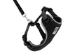 Adventure Kitty Harness | RC Pets