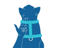 Adventure Kitty Harness | RC Pets