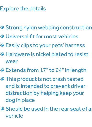 Sit Tight Tether (Grey) | RC Pets