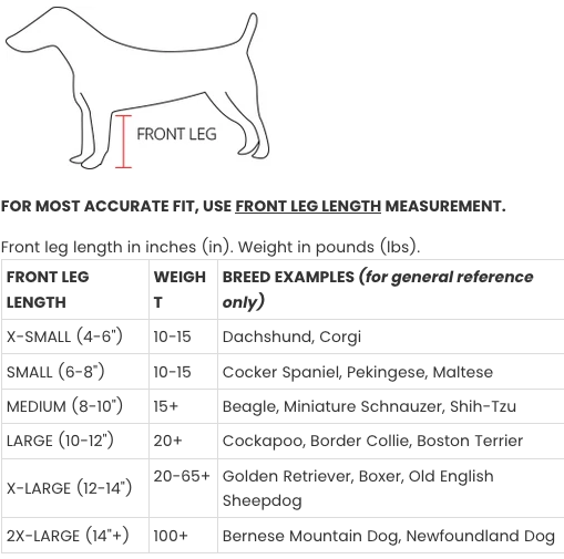 Body Guard Pants FouFou Dog Danny s Paw Prints