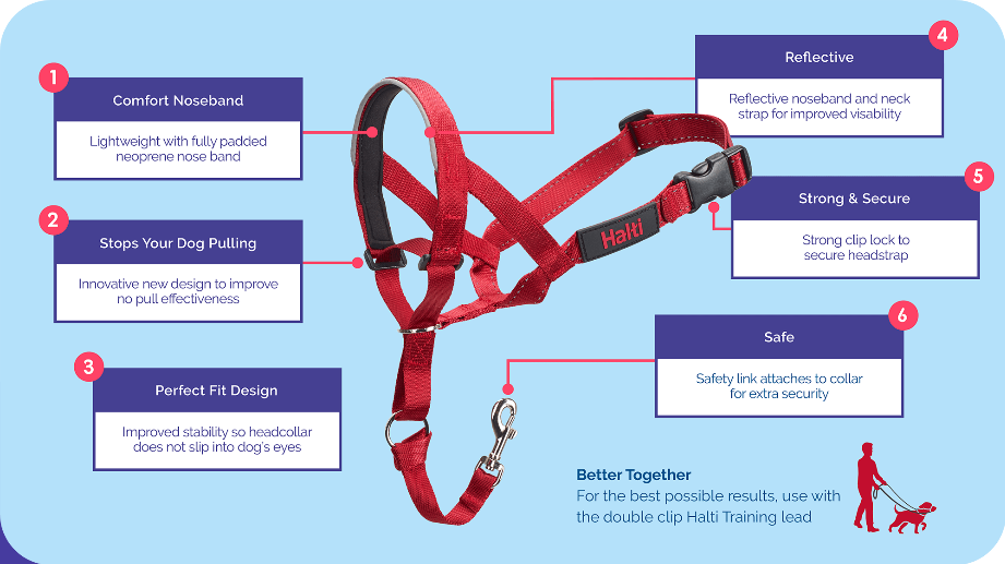 Halti Head Collar | Company Of Animals