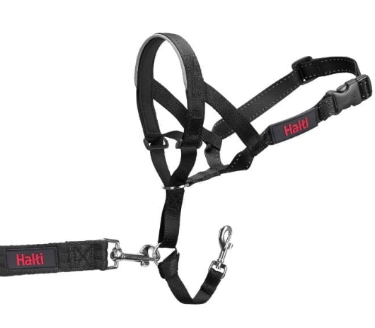 Halti Head Collar | Company Of Animals