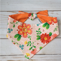 Bandanas | Pawtastic