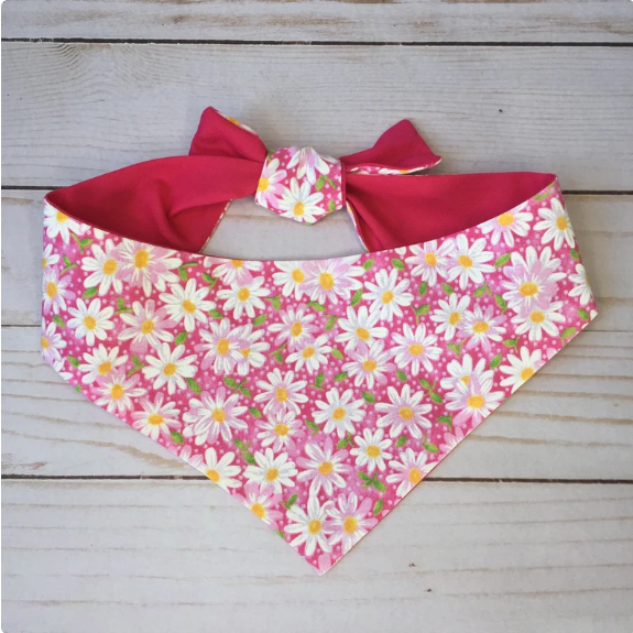 Bandanas | Pawtastic