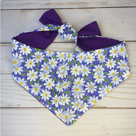 Bandanas | Pawtastic