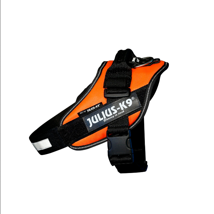 Power Harness (Orange) | Julius K9