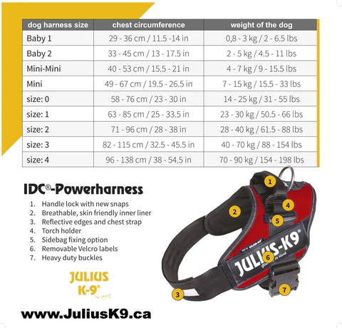 Power Harness (Blue) | Julius K9