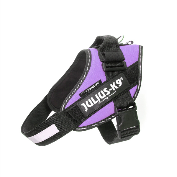 Power Harness (Purple) | Julius K9