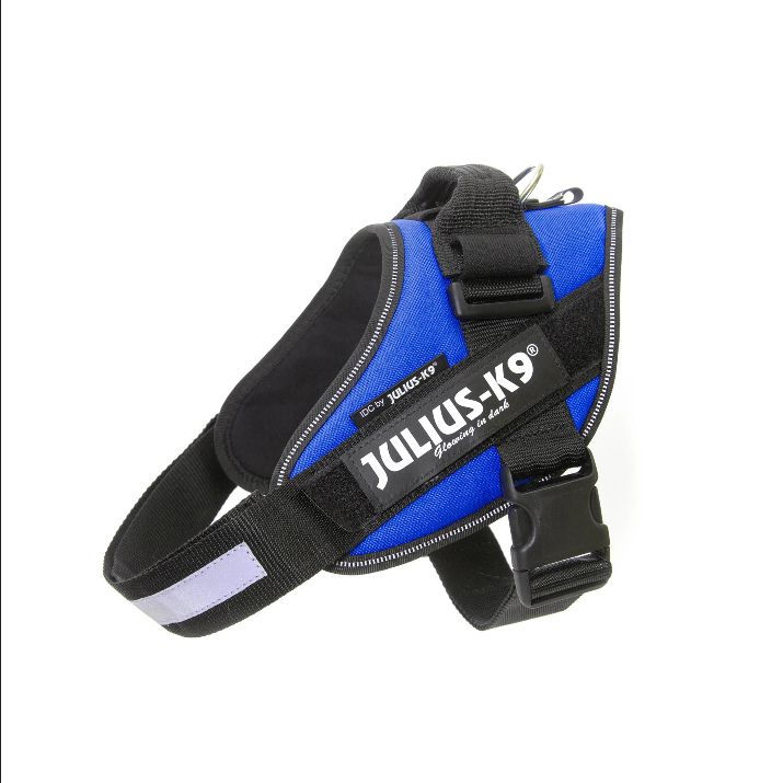 Power Harness (Blue) | Julius K9