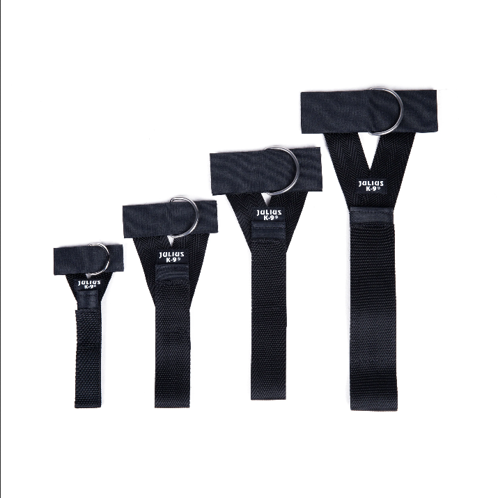 Control 'Y' Belt With Front Ring Attachment | Julius K9