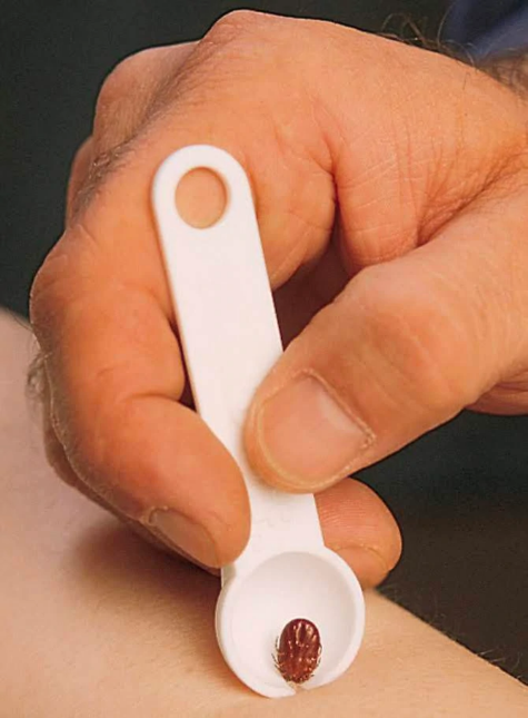 Tick Scoop Keychain | AtlanTick